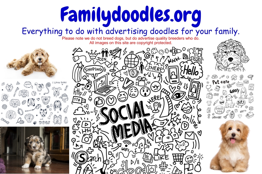 familydoodles.org